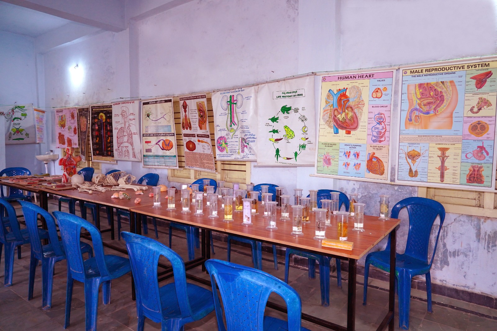 SEICOM biology laboratory with specimen jars, anatomical models and charts